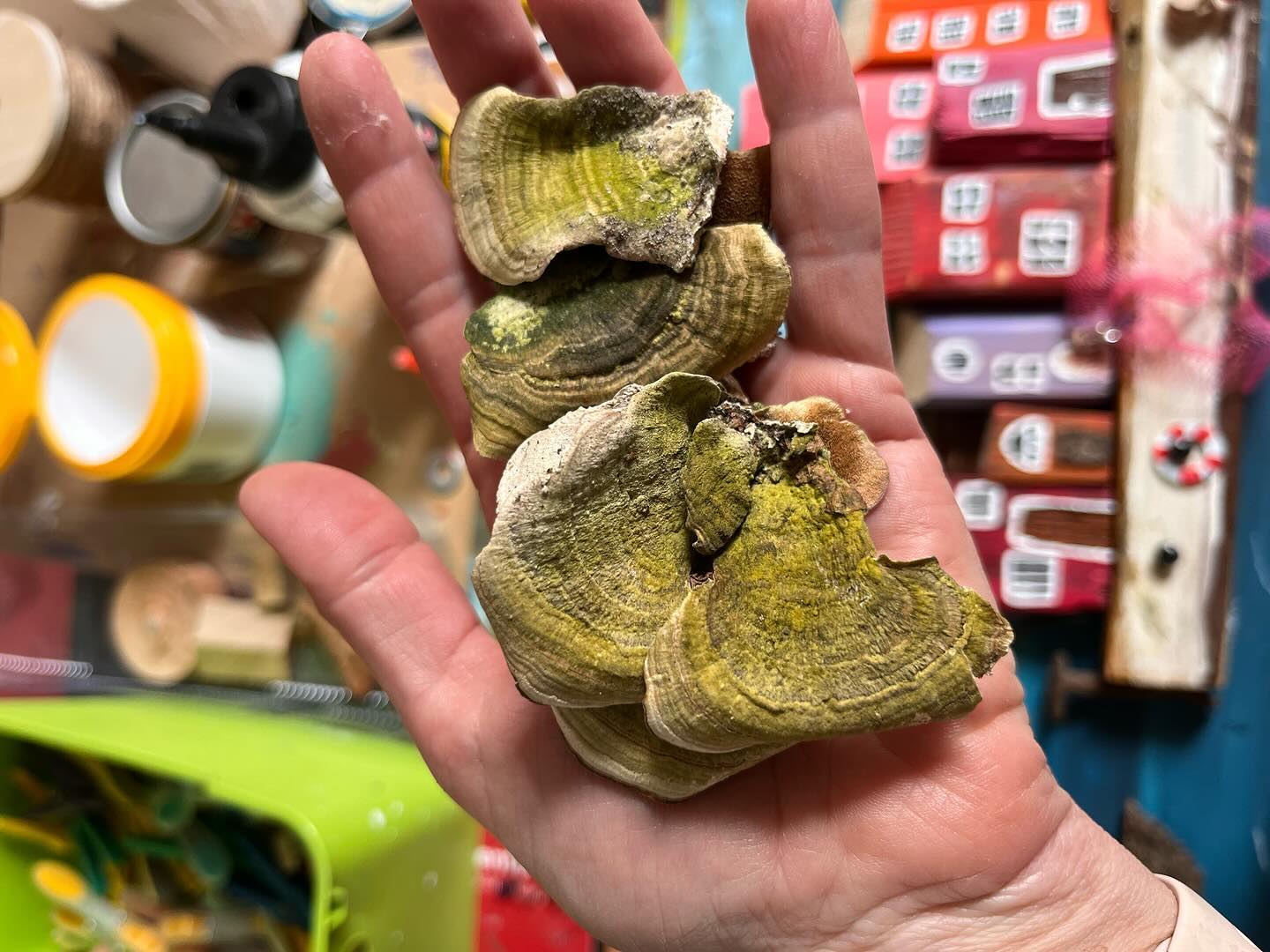 Słońce odpływa, domy czekają - zdjęcie 4