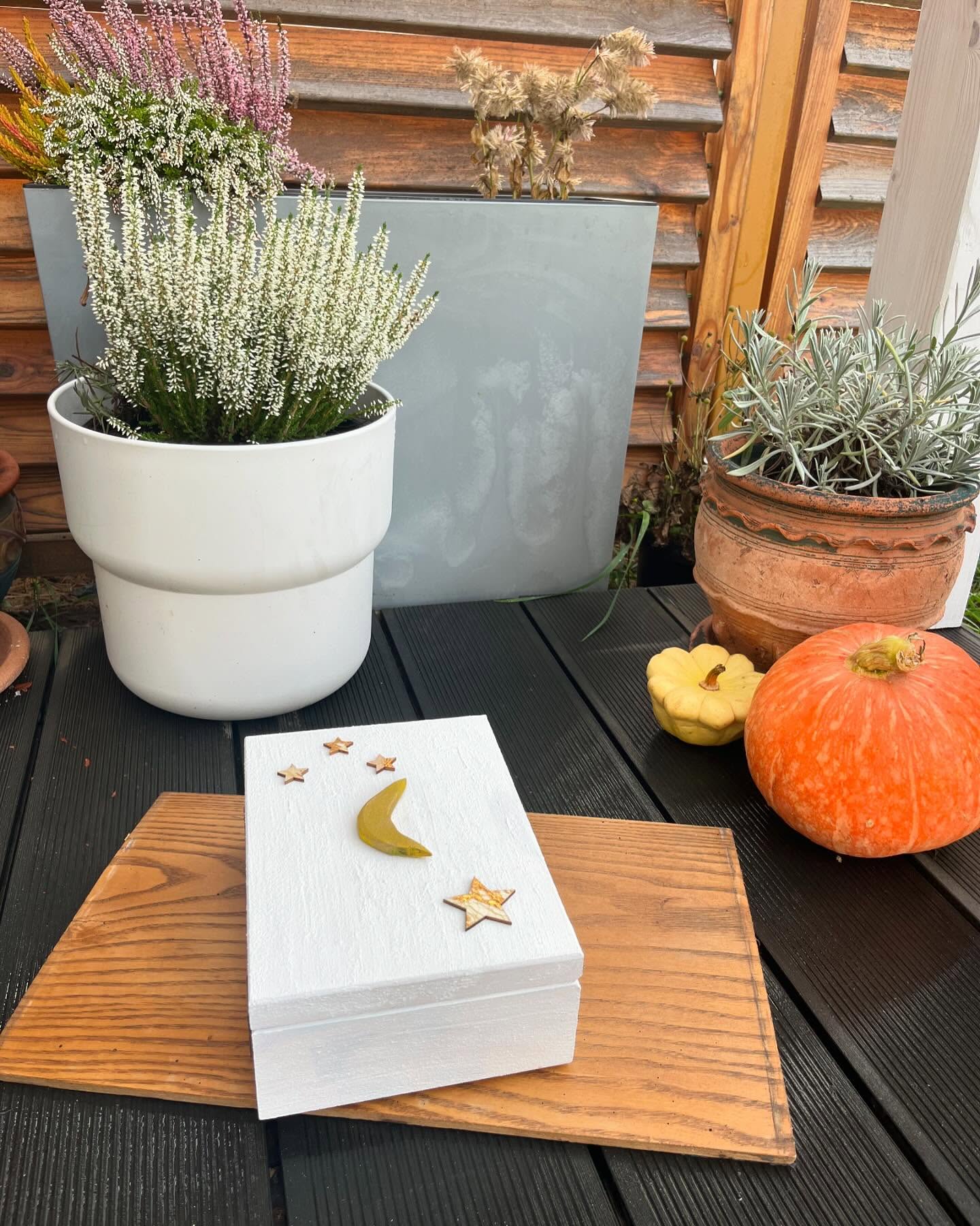 Zatoka Miniatur - zdjęcie 4