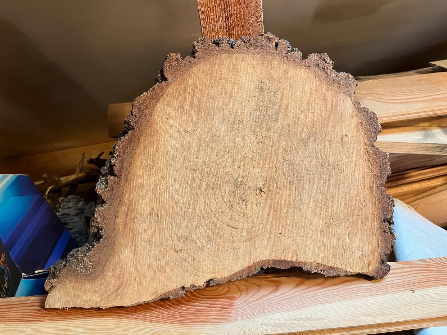 Wśród Mew i Pian - zdjęcie 7