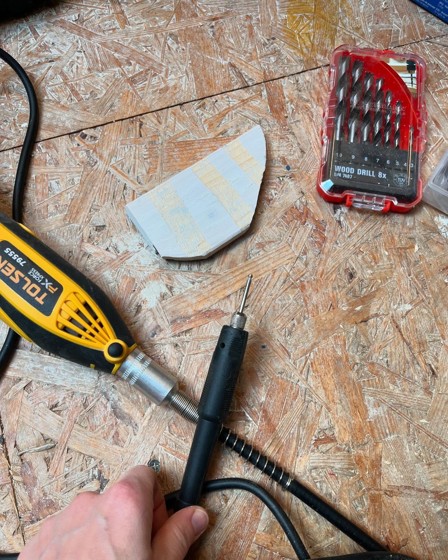 Pasiasty Kuter - zdjęcie 4